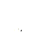 pp6