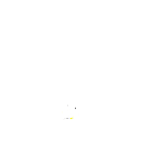 pp6