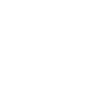 pp6